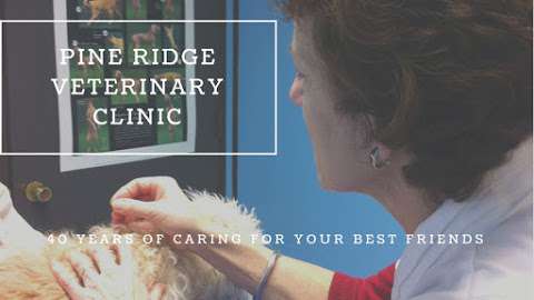 Pine Ridge Veterinary Clinic